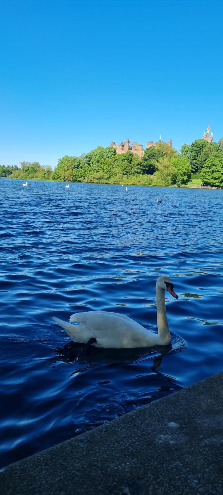 Stylish Home In Linlithgow With Free Parking Εξωτερικό φωτογραφία